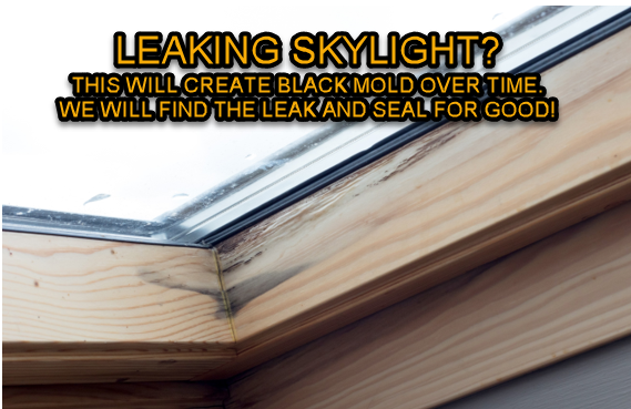 leaking roof skylight